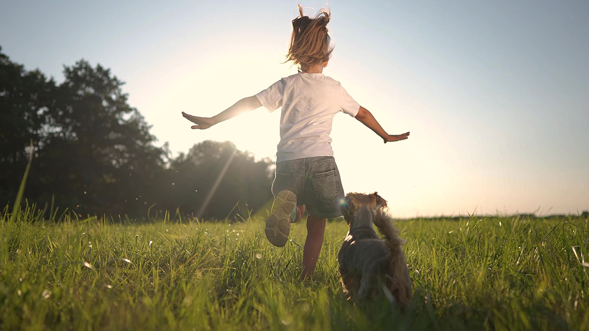 In welke mate beïnvloedt je kindertijd je volwassen leven