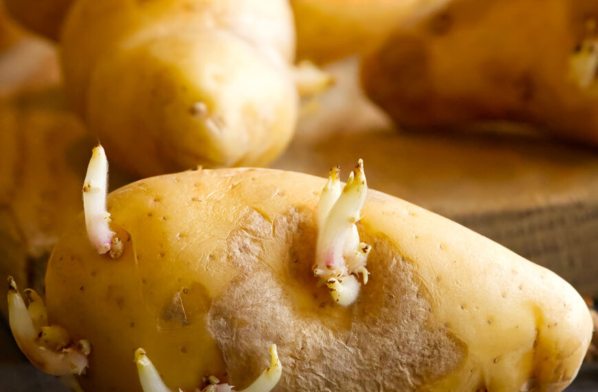 Houd je aardappelen langer vers met een simpele appeltruc