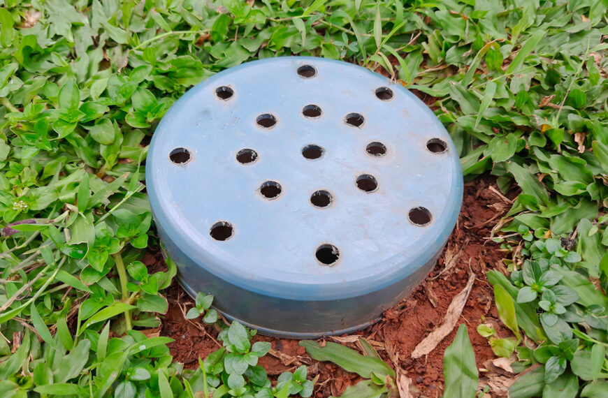 Bespaar tijd en bescherm je planten met deze mulching hack