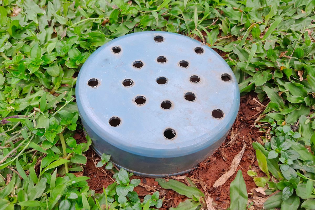 Bespaar tijd en bescherm je planten met deze mulching hack